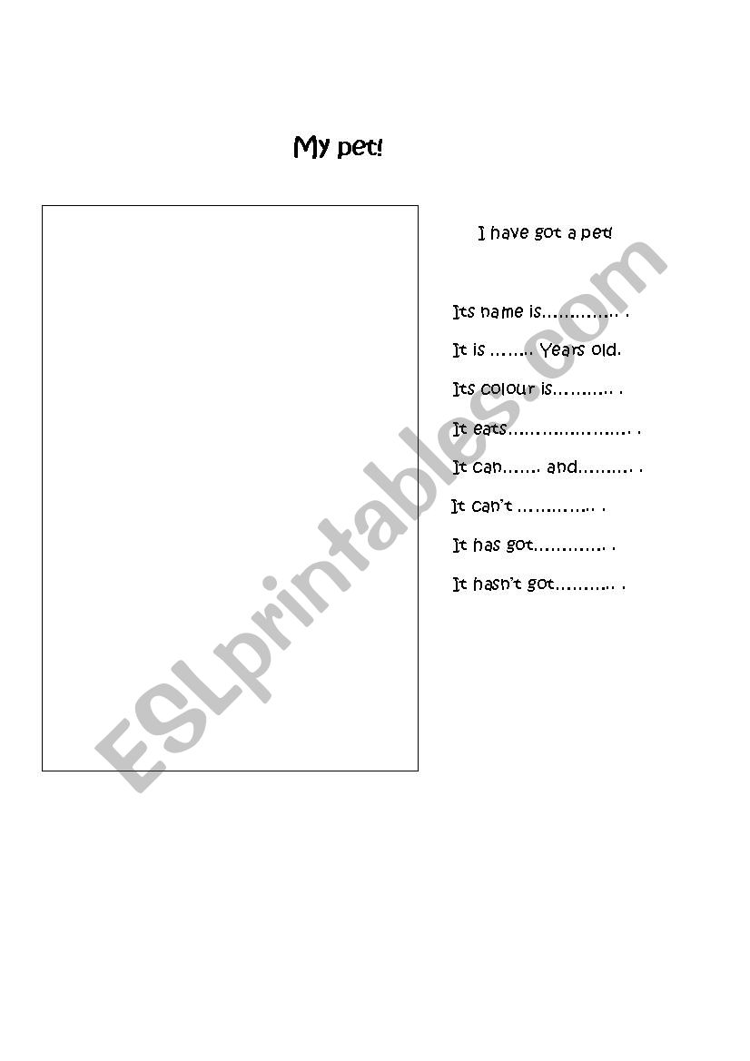 my pet worksheet
