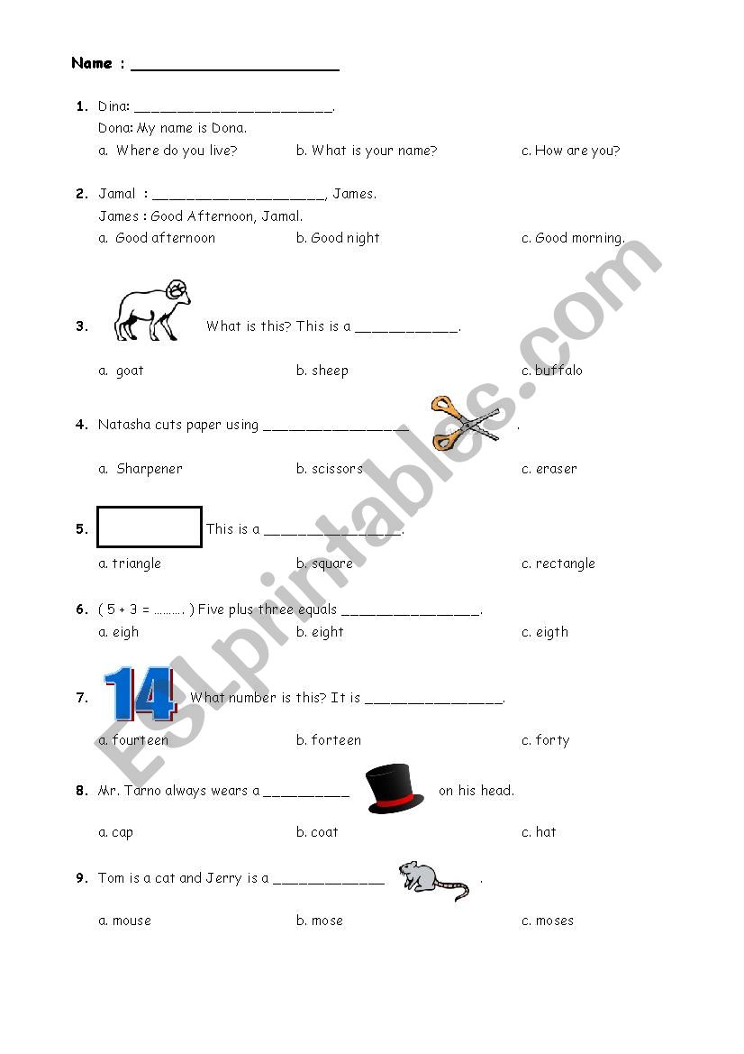 Daily Vocabularies worksheet