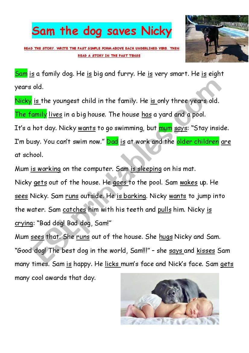 Sam the dog saves Nicky worksheet