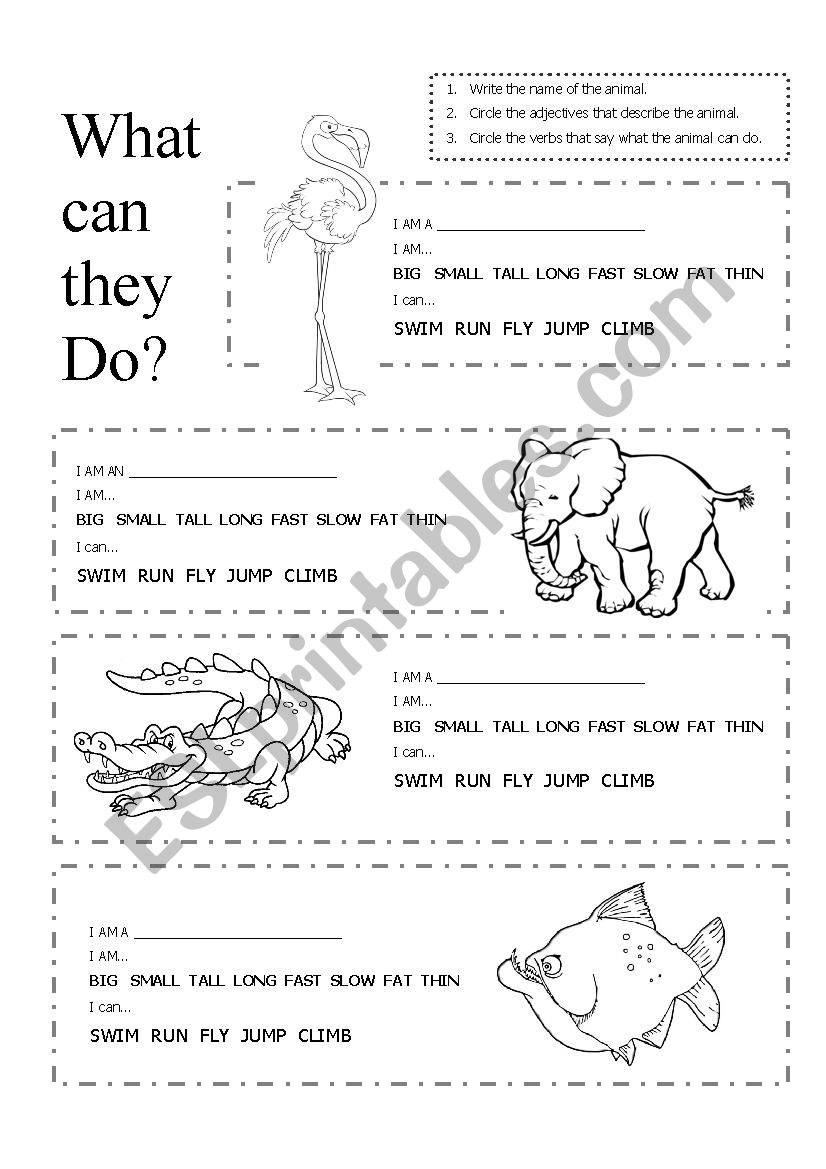 Describing Wild Animals worksheet