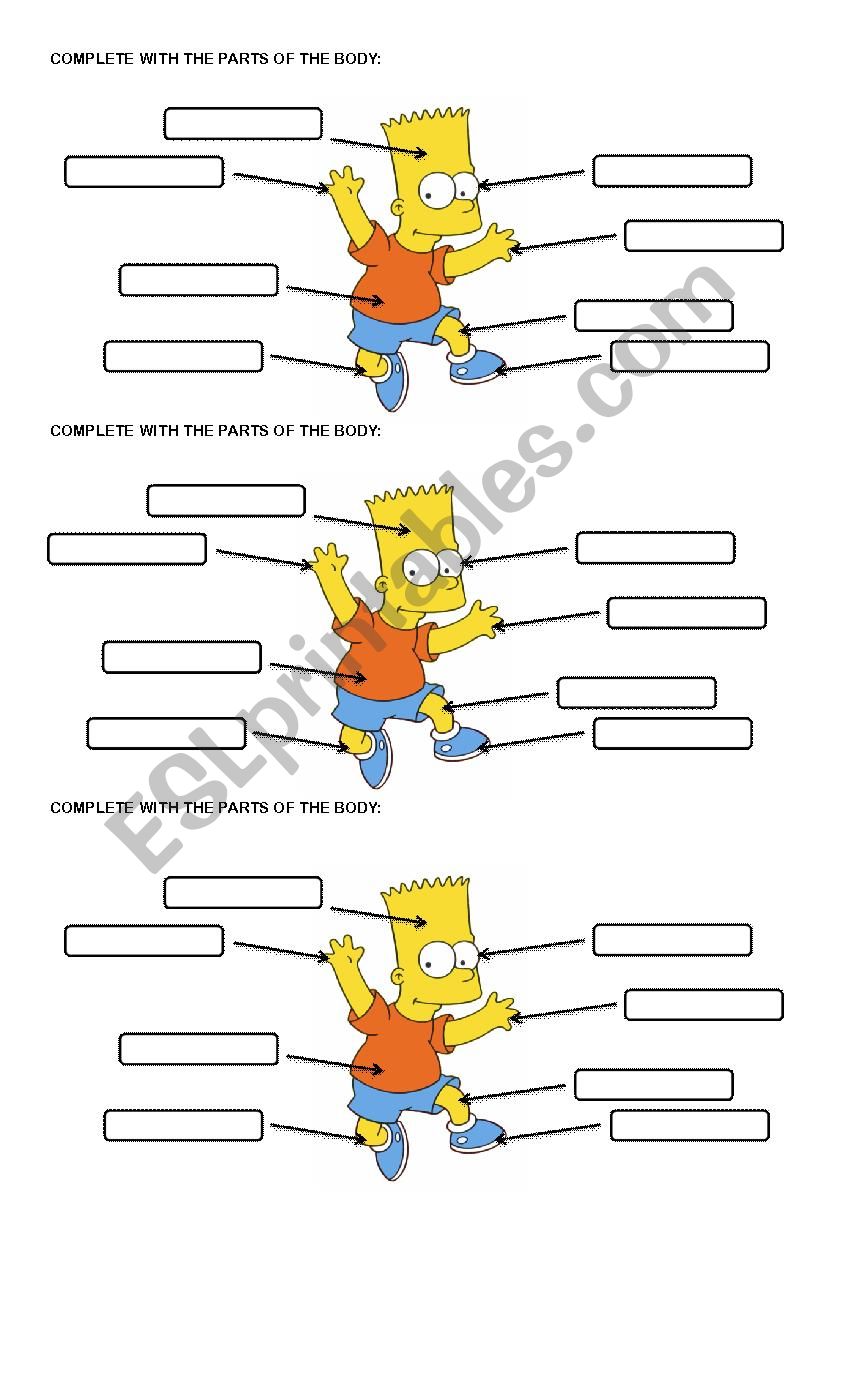 PARTS OF THE BODY worksheet