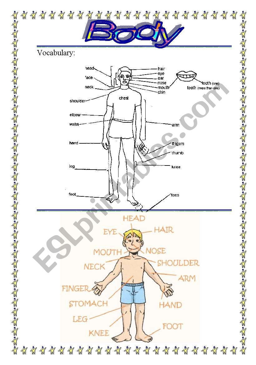 The body worksheet