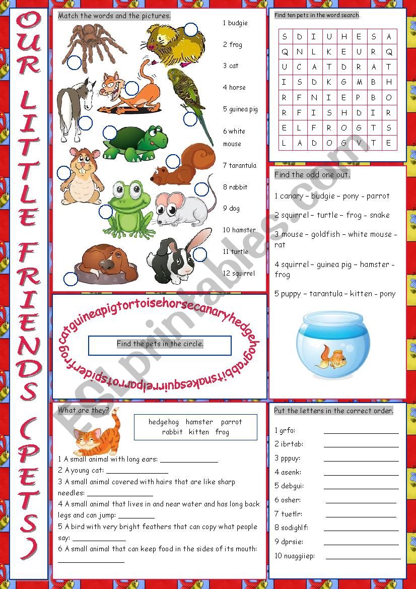 Pets Vocabulary Exercises worksheet