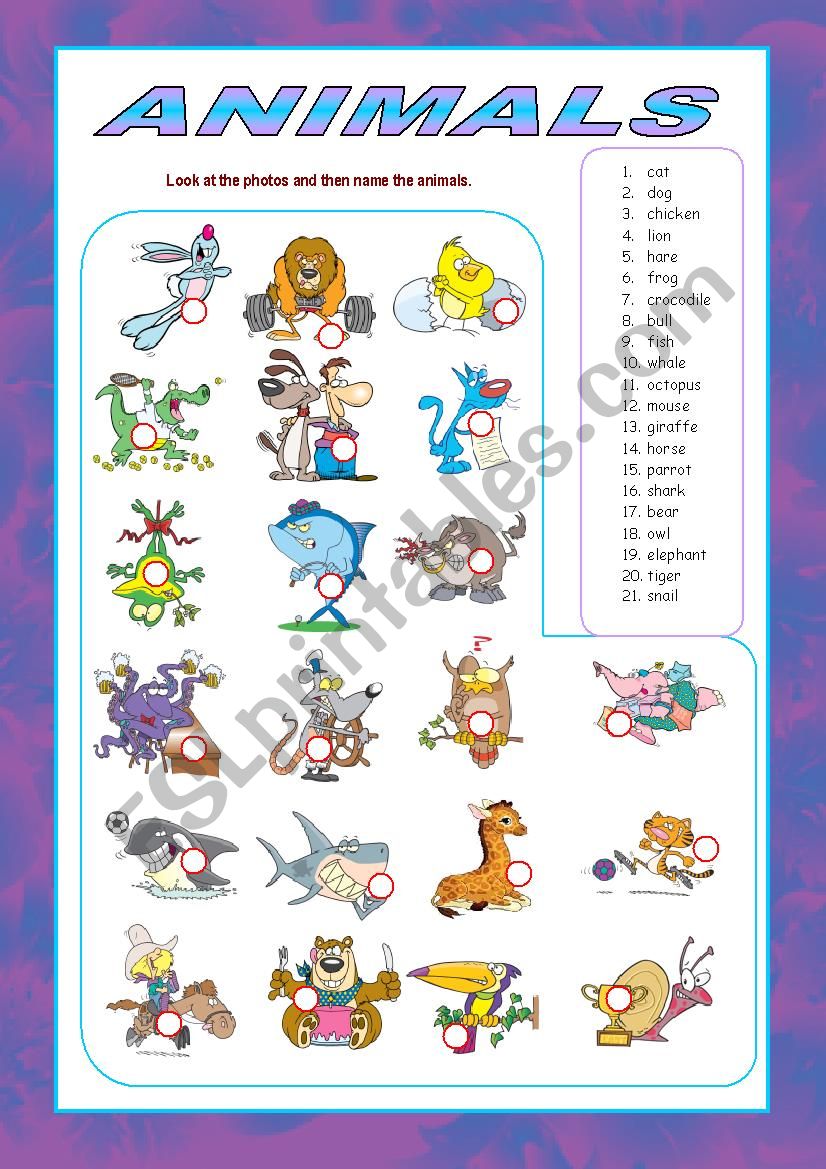 Animals Matching worksheet