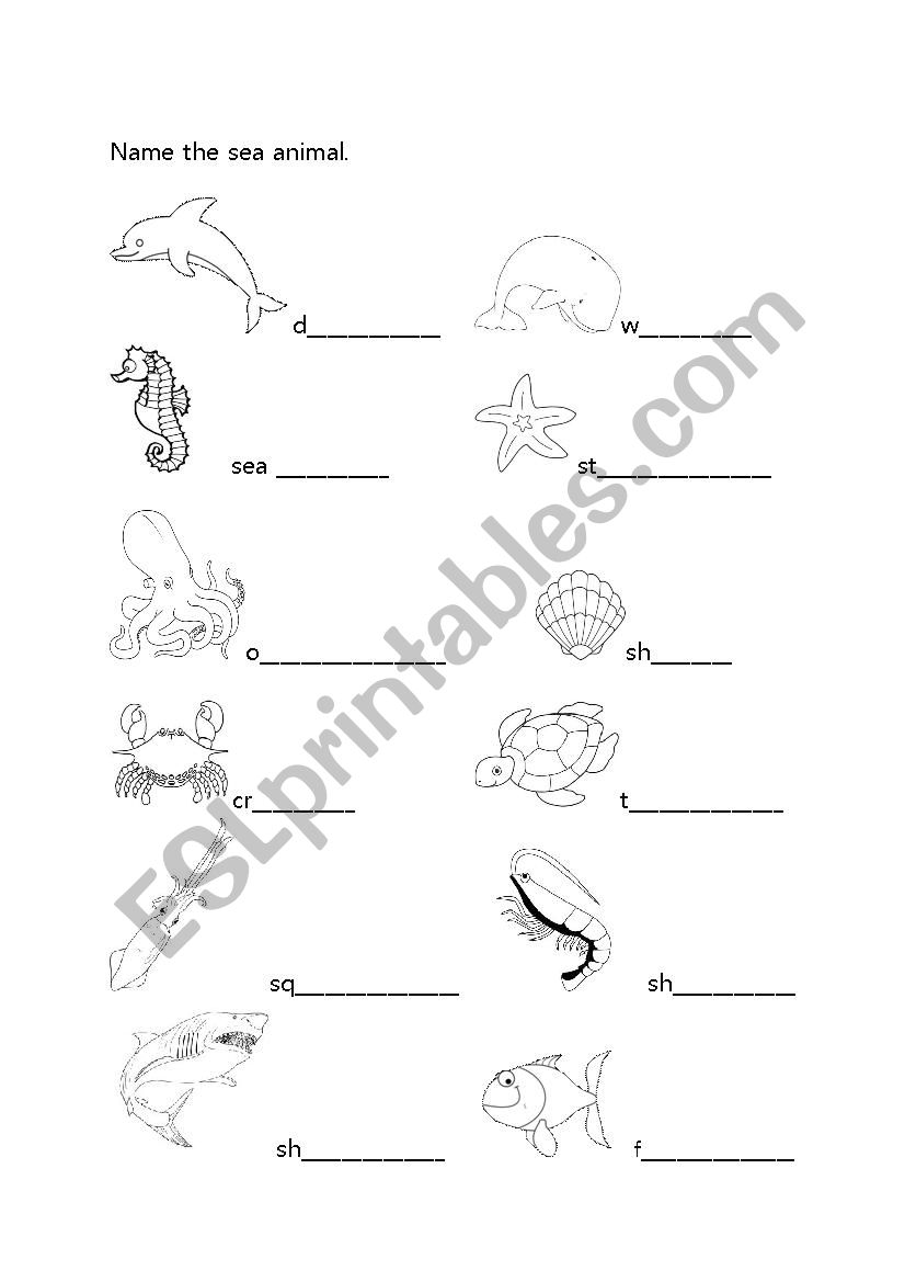 What is the Sea Animal? worksheet