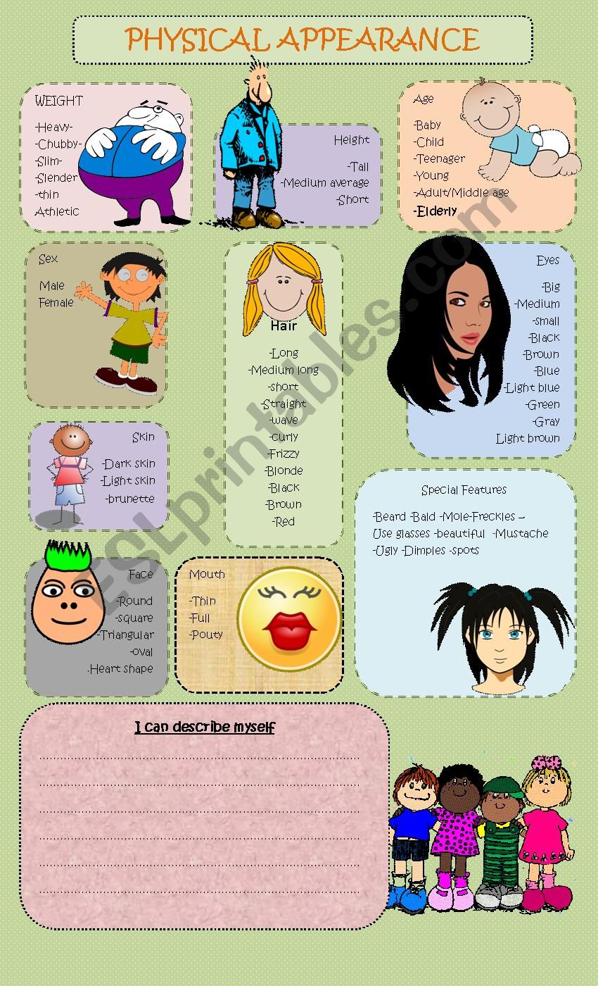 Physical Description worksheet