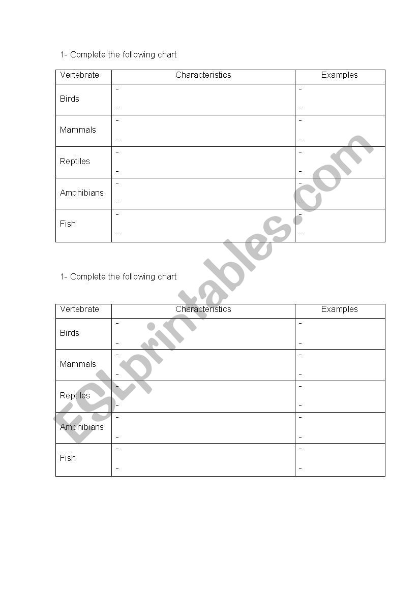 vertebrates chart worksheet