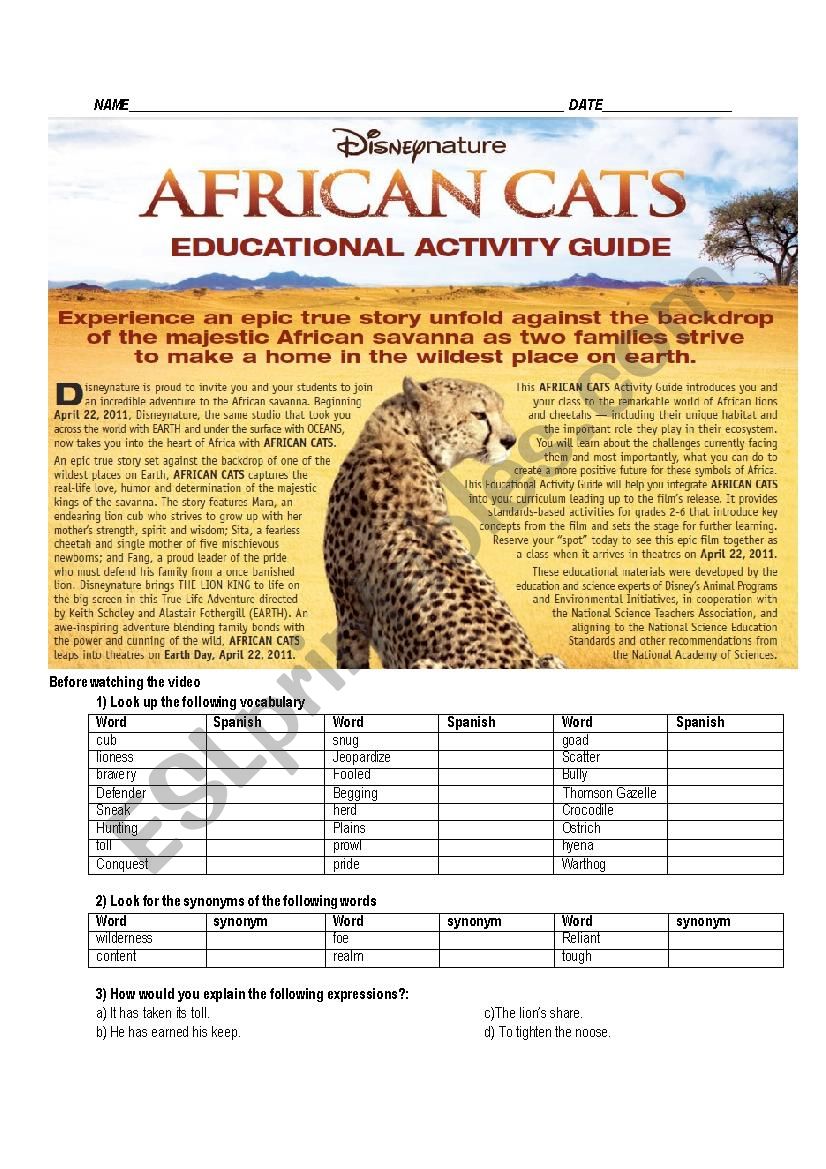 AFRICAN CATS DISNEY VIDEO ACTIVITY