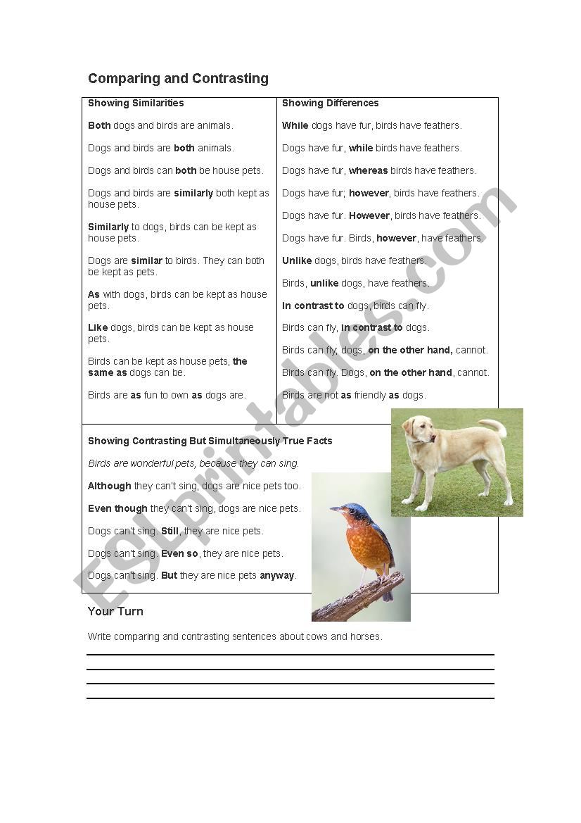 Comparing & Contrasting Words worksheet
