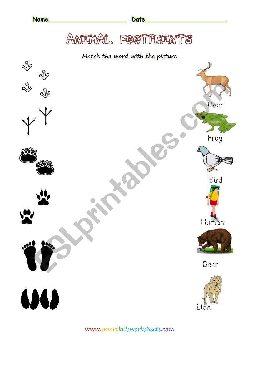Animal footprints worksheet