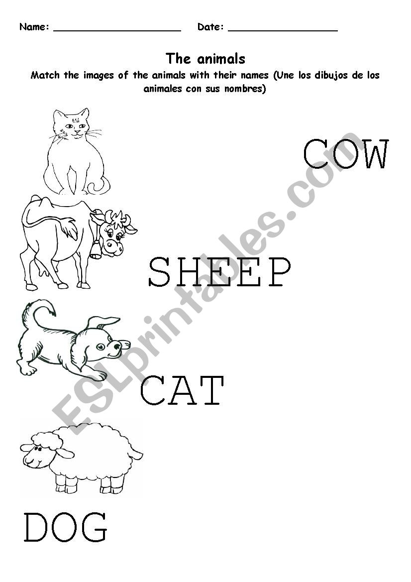 The animals worksheet