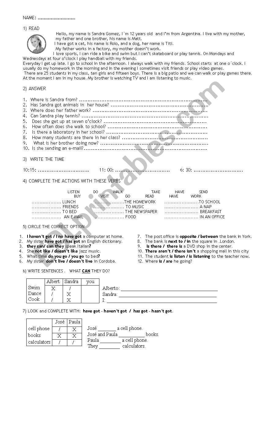 Simple Present Practical Work worksheet