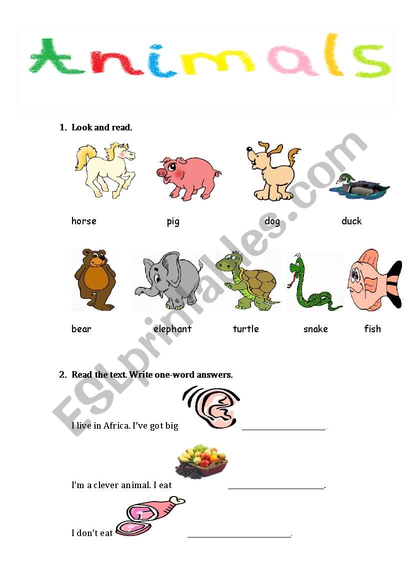 Animals worksheet