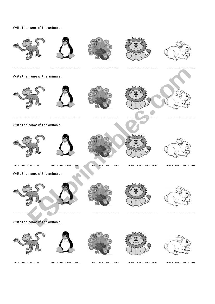 Animals  worksheet