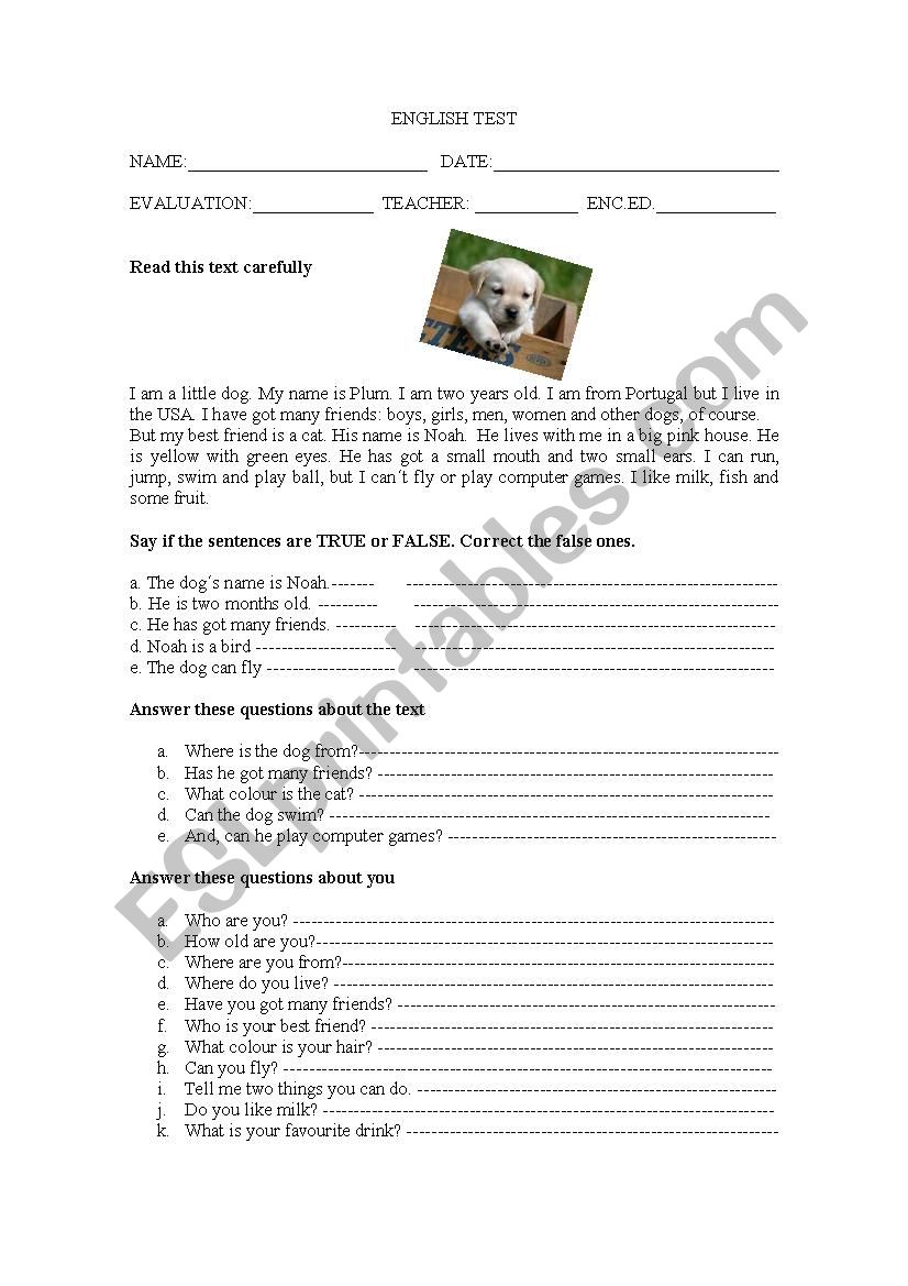 a small dog worksheet