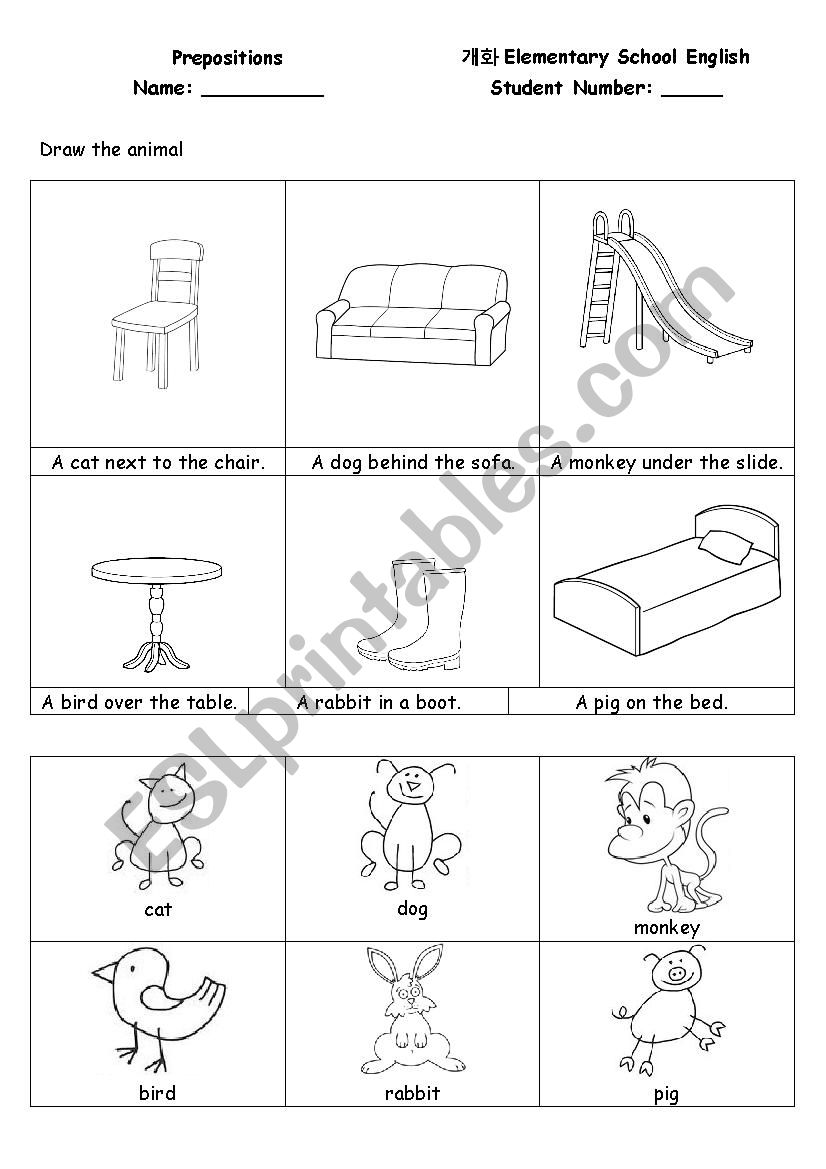 preposition worksheet