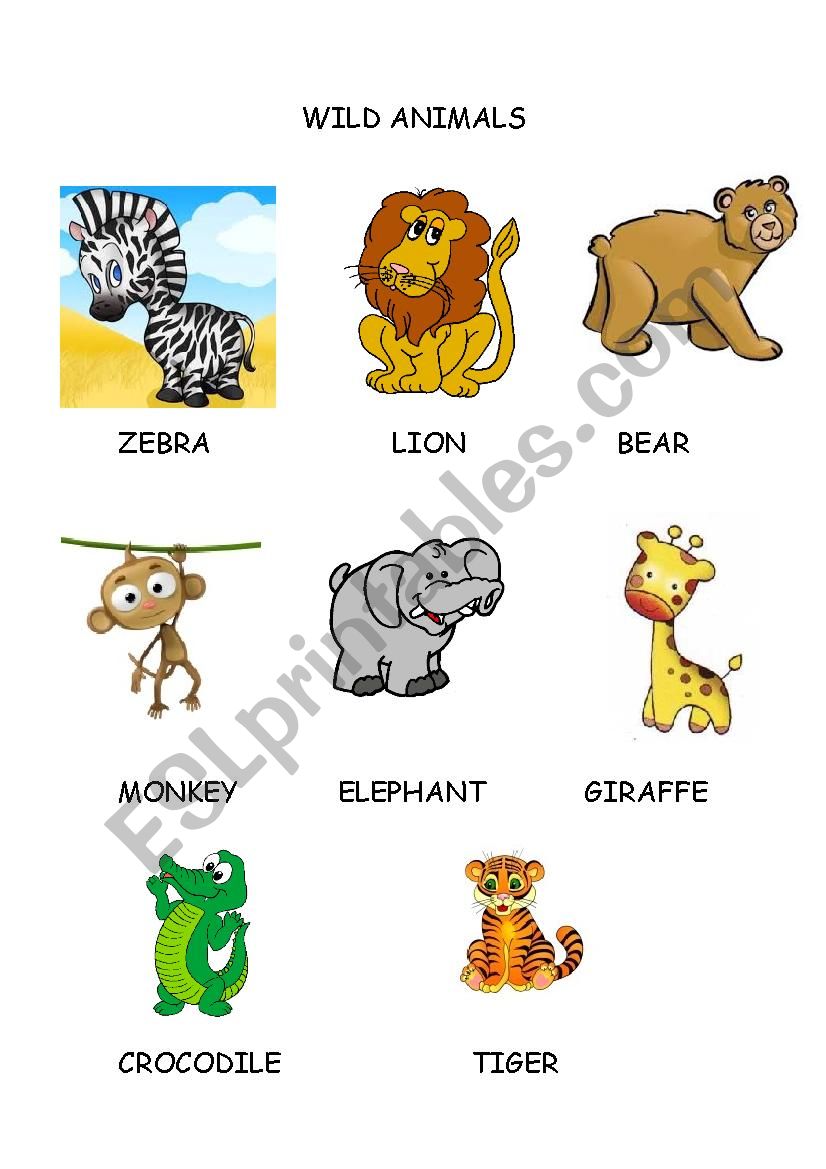 Wild Animals worksheet