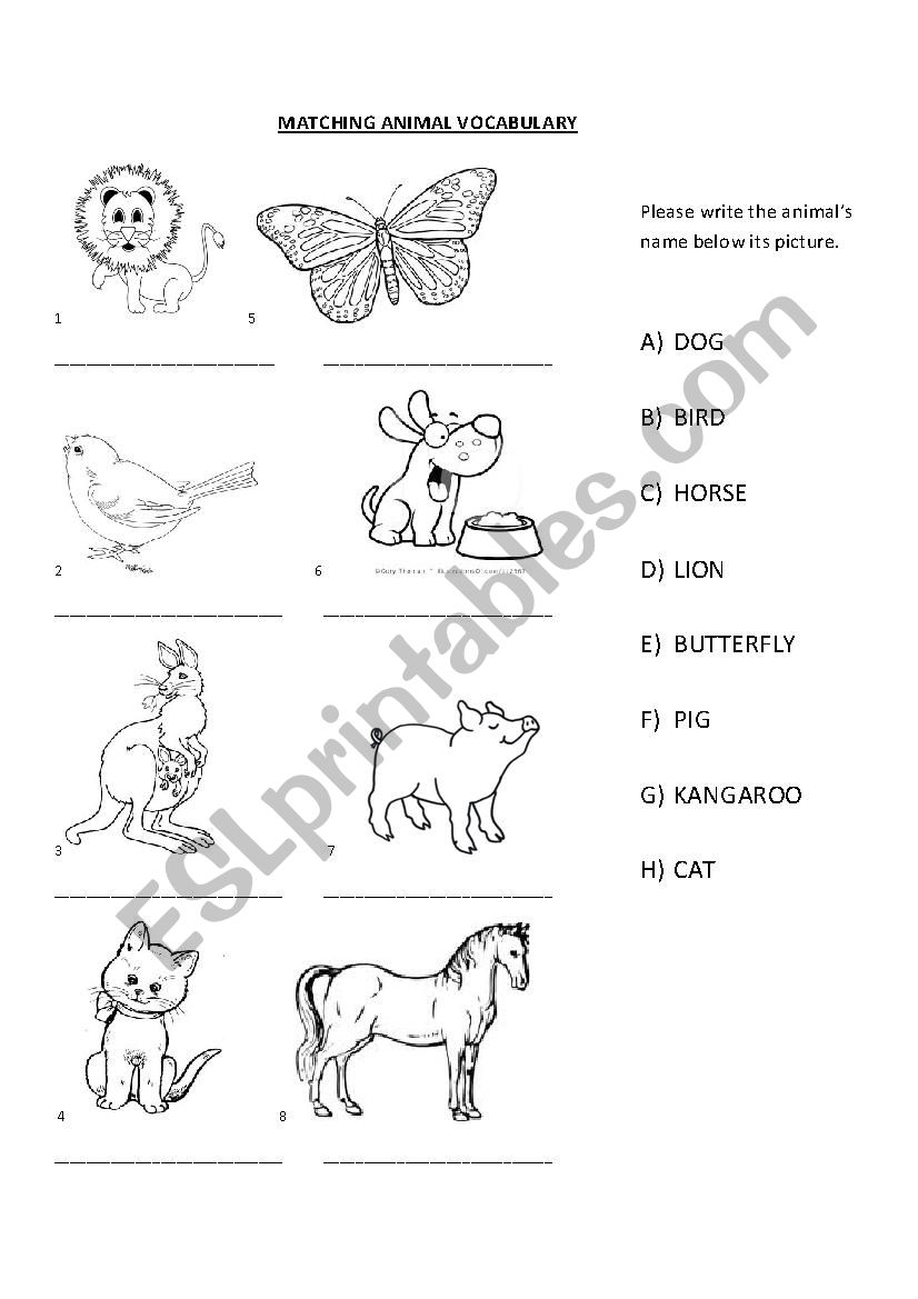 Matching animal vocabulary worksheet