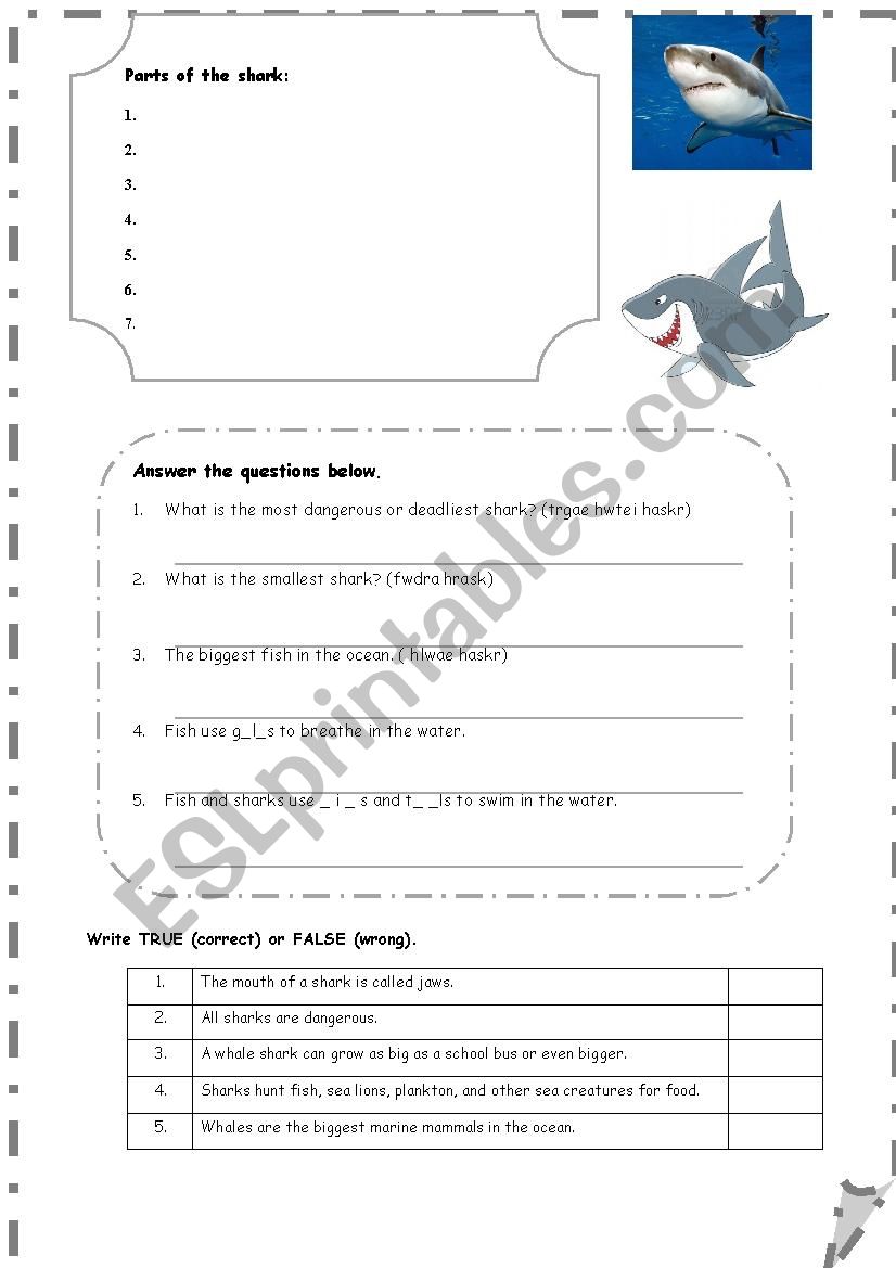 Test worksheet