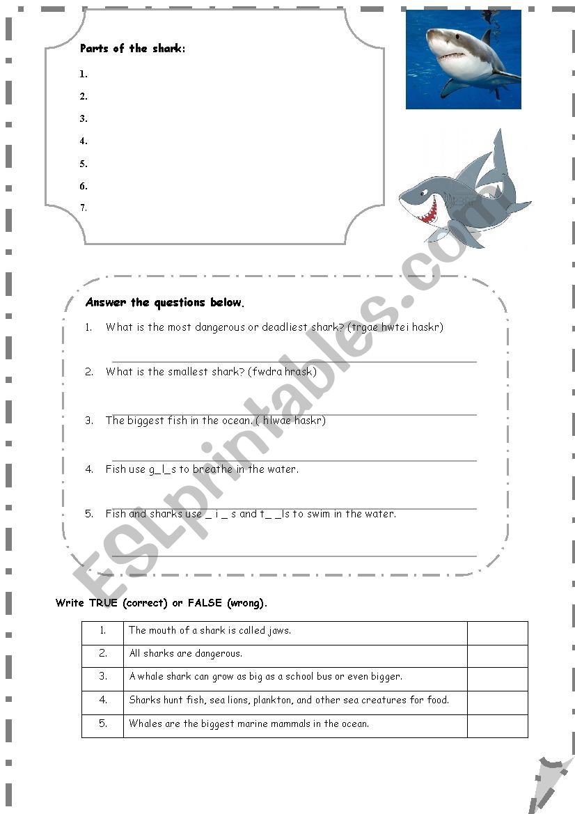 Test worksheet