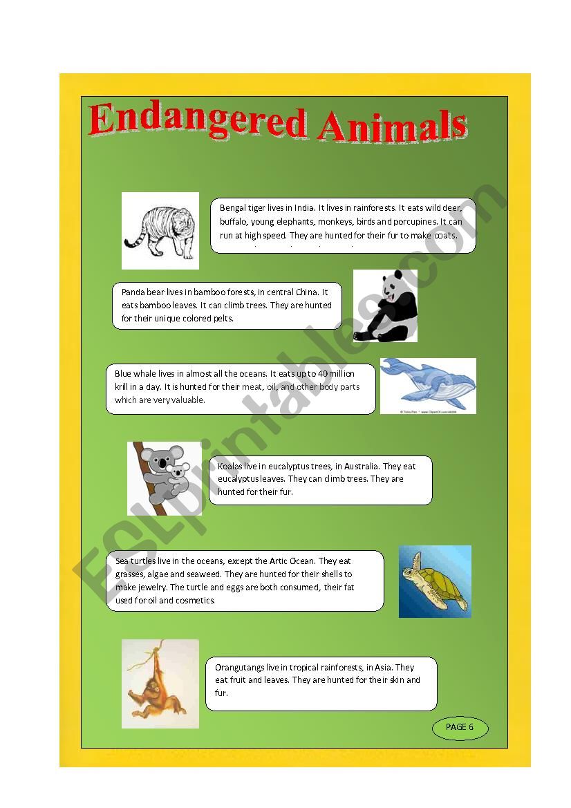 Endangered Animals worksheet