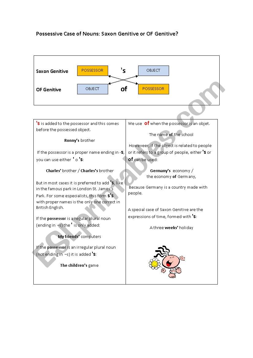 Saxon Genitive - Possessive Case of Nouns in English