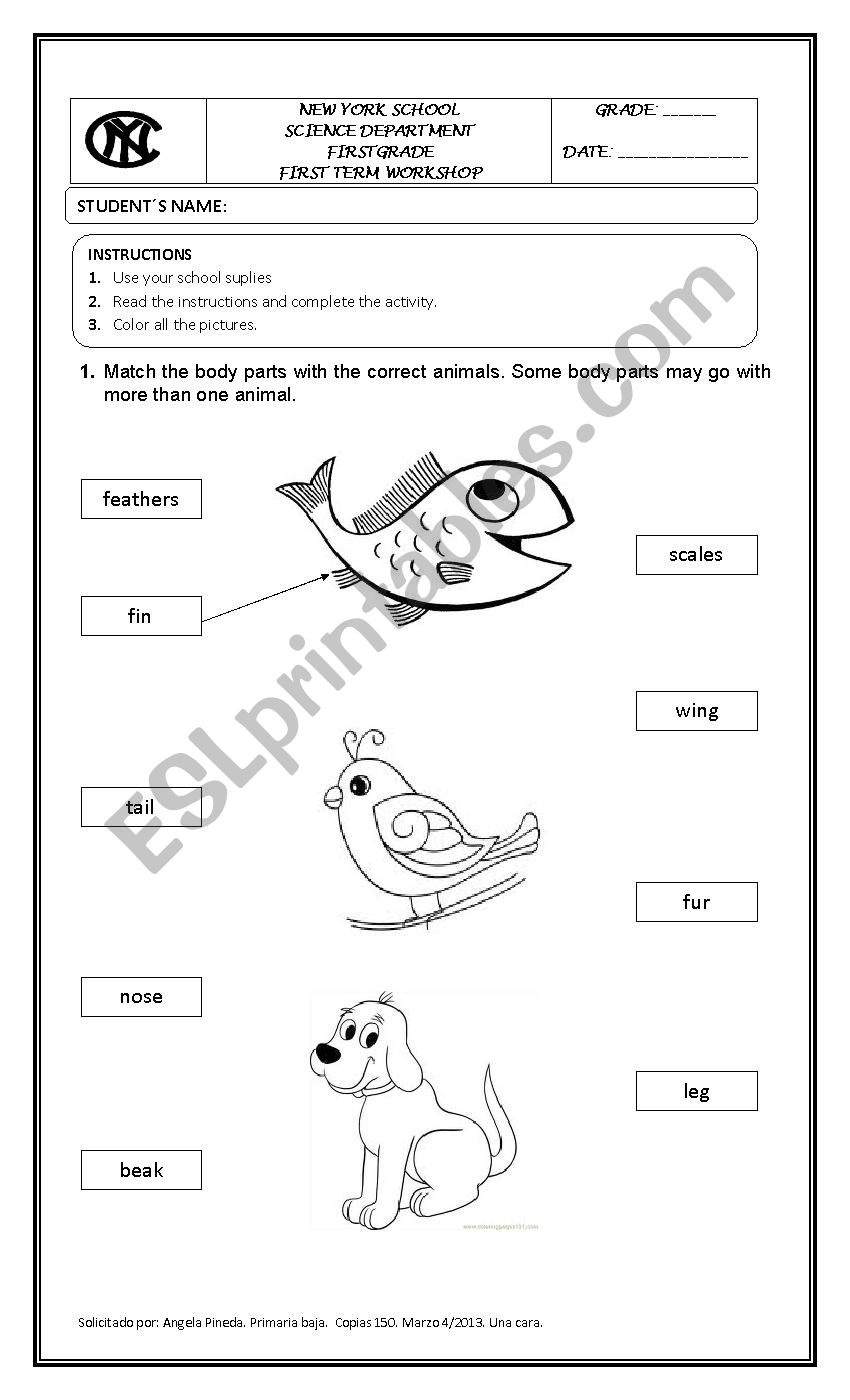 Animals characteristics - ESL worksheet by angelitapirili