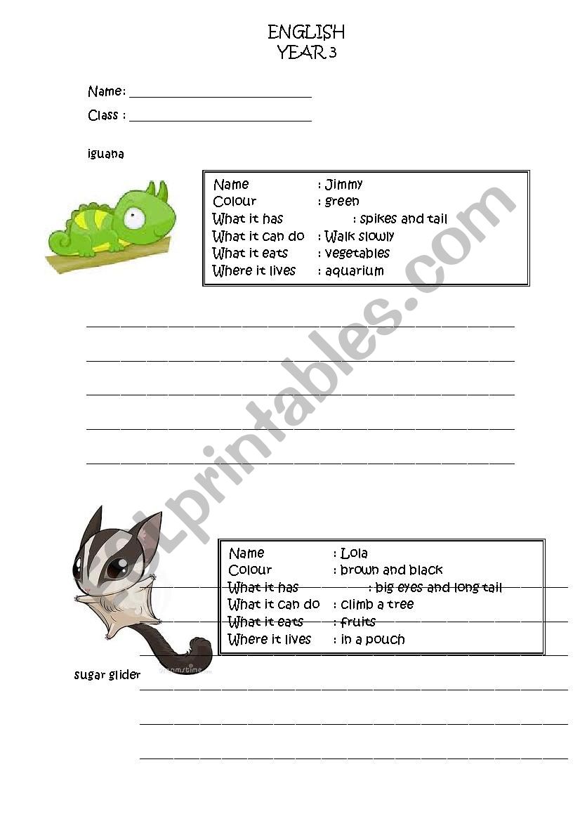 Pets worksheet