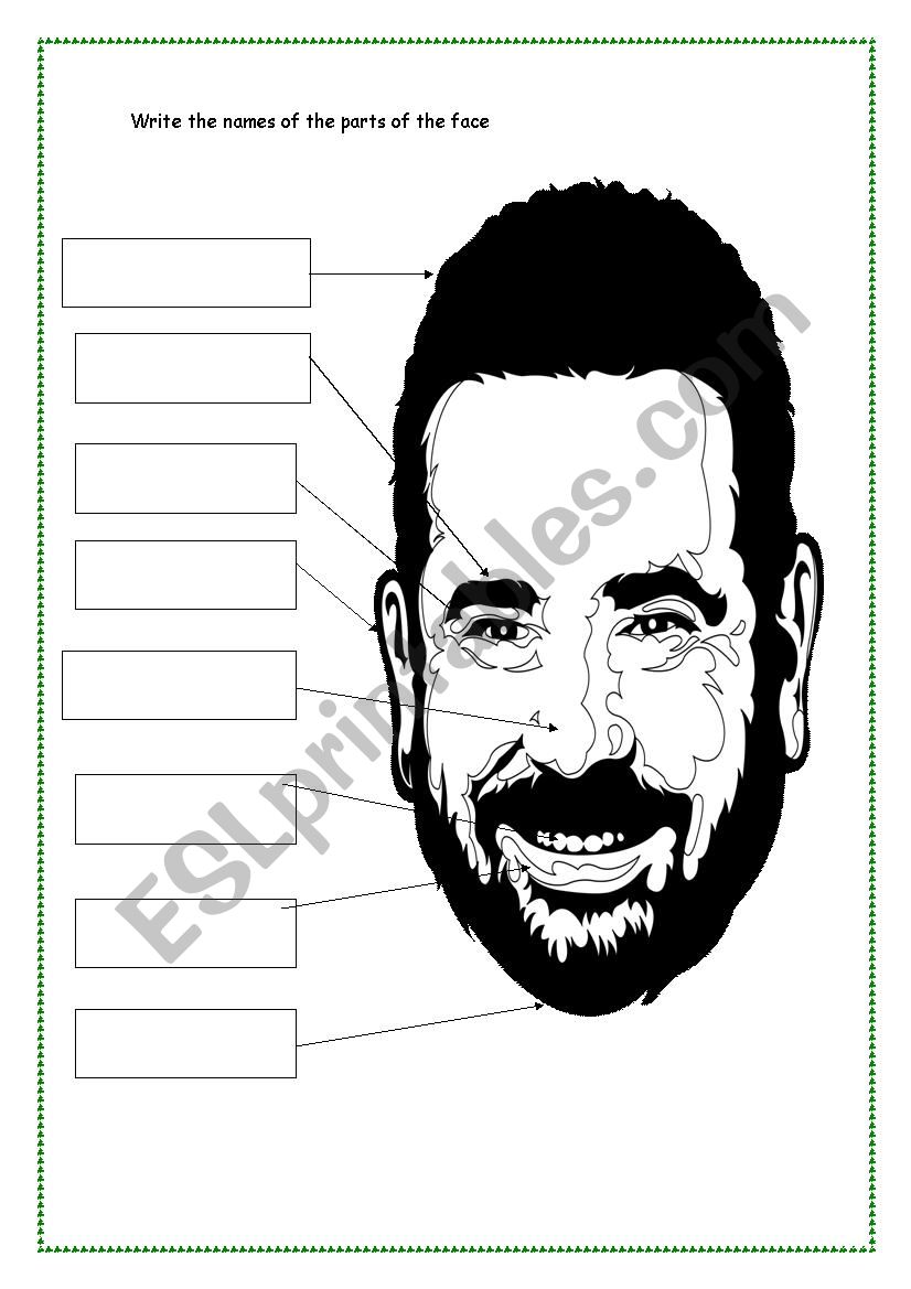 parts of the face worksheet