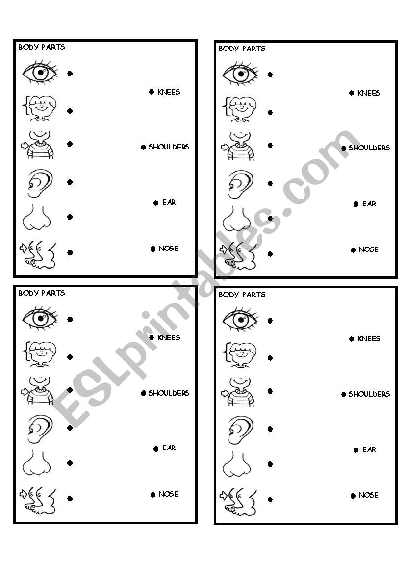 body parts worksheet