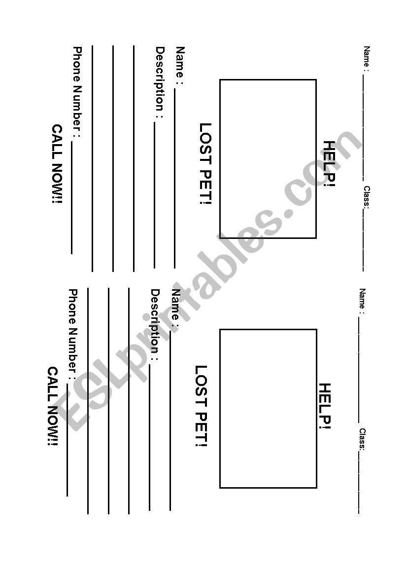 Lost Pet Poster worksheet