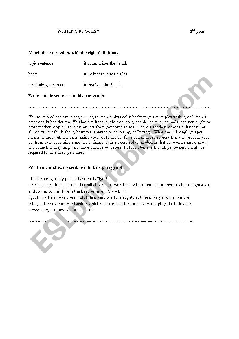 process writing worksheet