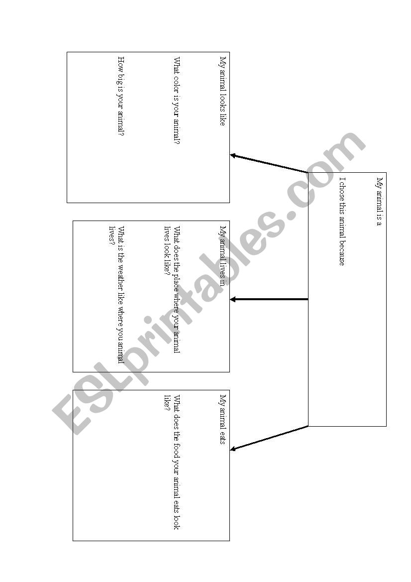 Animal Project worksheet