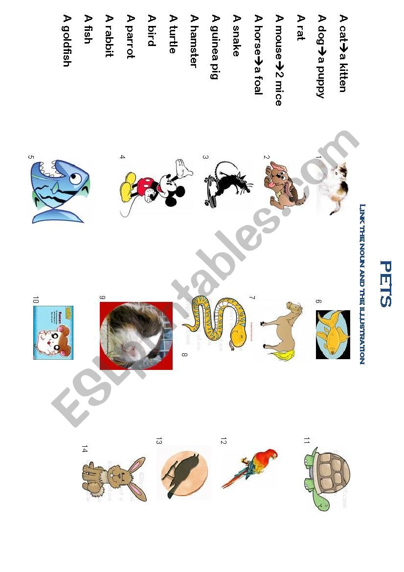 Pets vocabulary worksheet