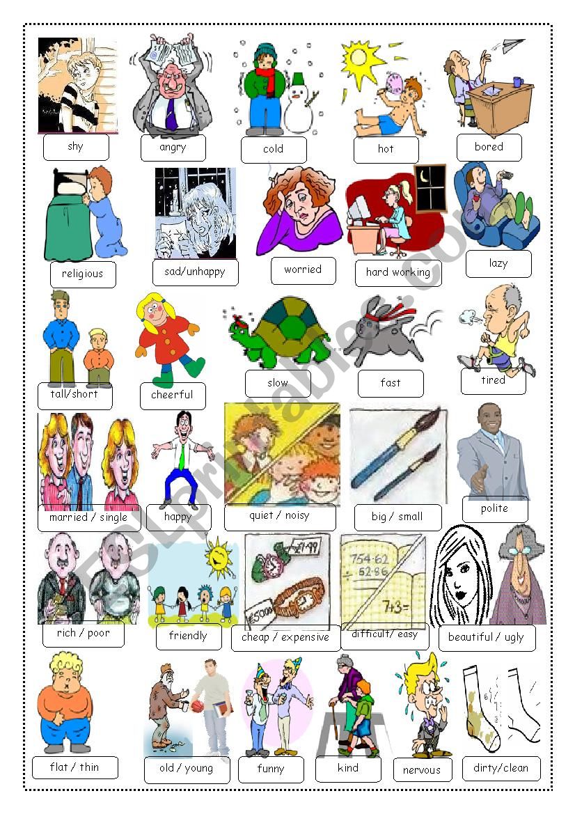 adjectives worksheet