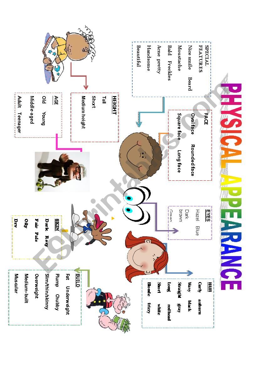 Vocabulary PeopleÂ´s physical appearance