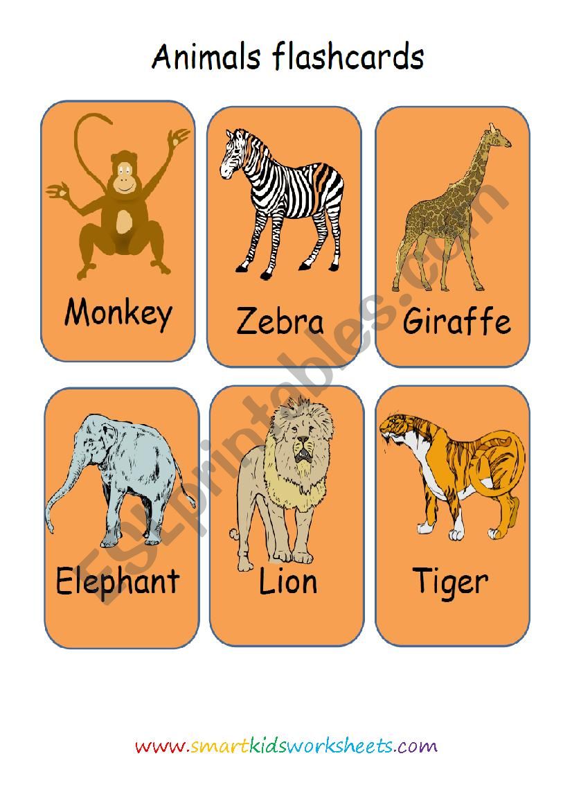 Animals flashcards worksheet