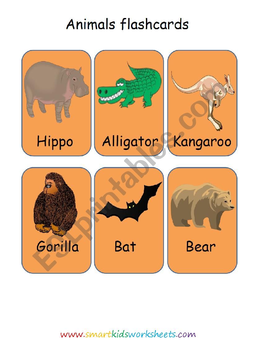 Animal flashcards 2 worksheet