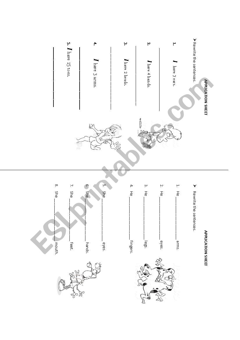 Have-has worksheet