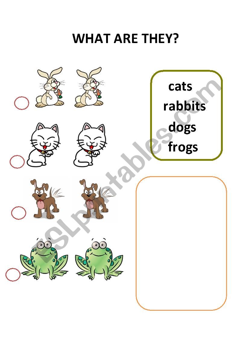 what are they? worksheet