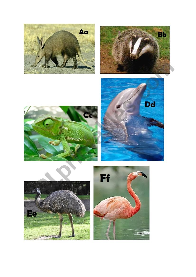 Animals A-Z (Page 01 - A-F) worksheet