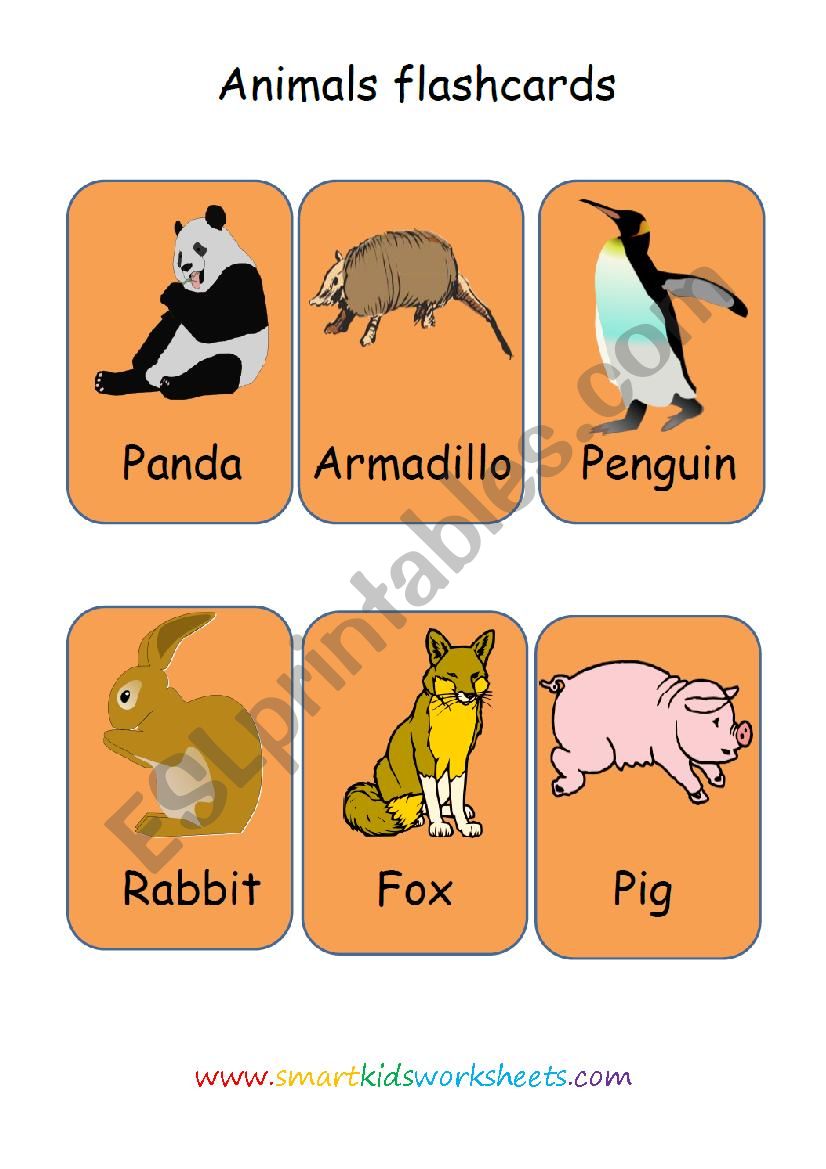 Animals flashcards 3 worksheet