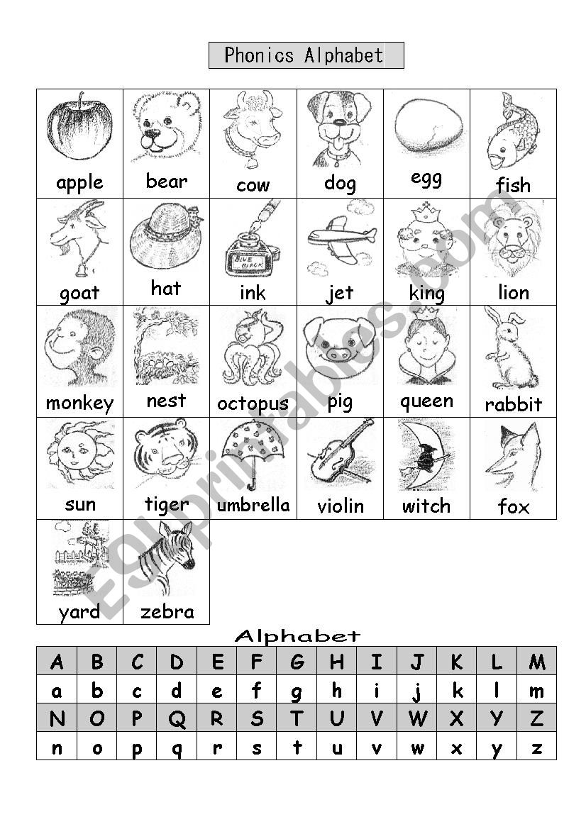 Phonics Alphabet Basic Words worksheet