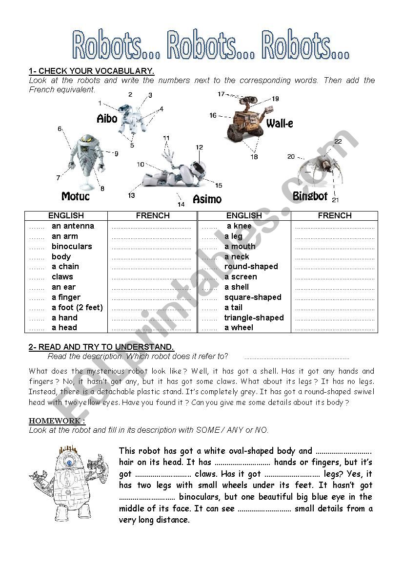Robots descriptions worksheet