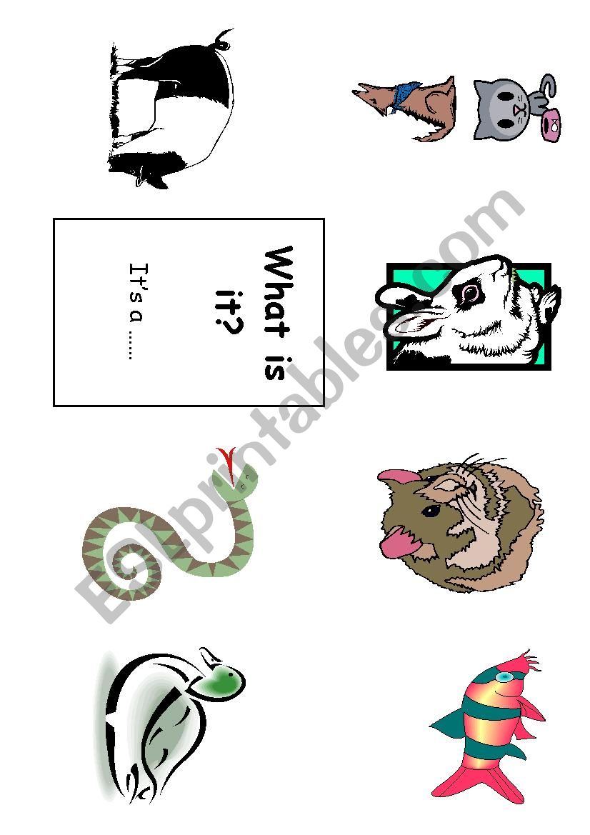 Little book with animals worksheet