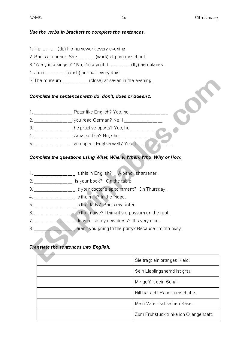 Revision for Beginners worksheet