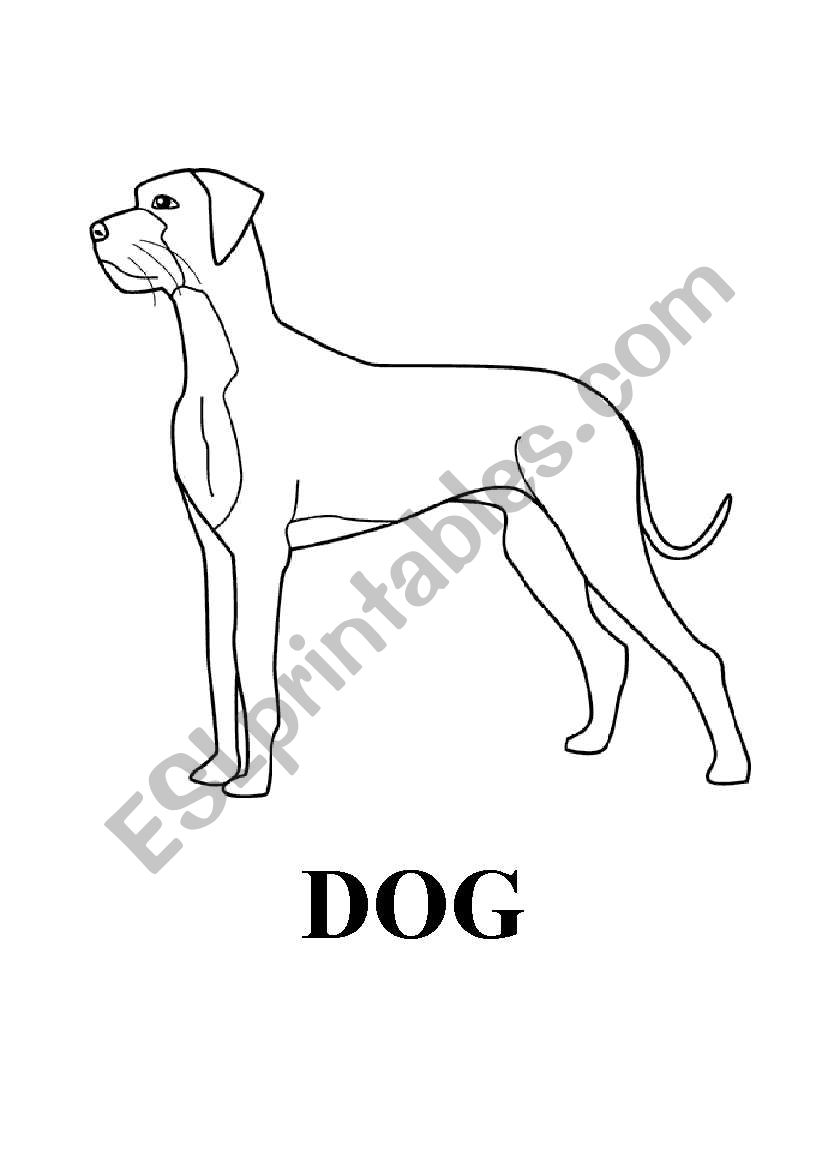 Dog´s flashcard worksheet