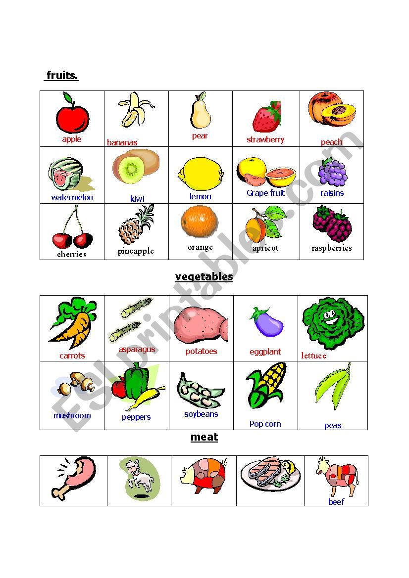 Food/fruit vegetables.meat.fish and dairy products