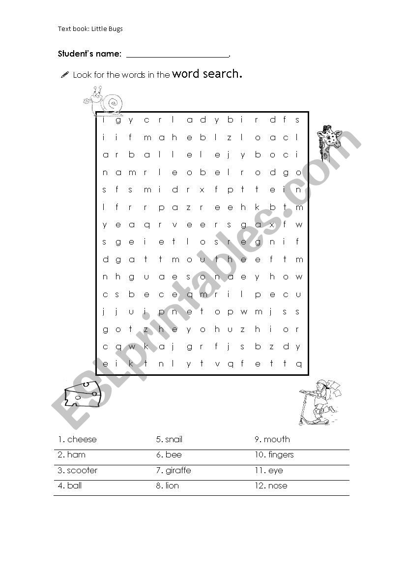 Wordsearch textbook: Little Bugs