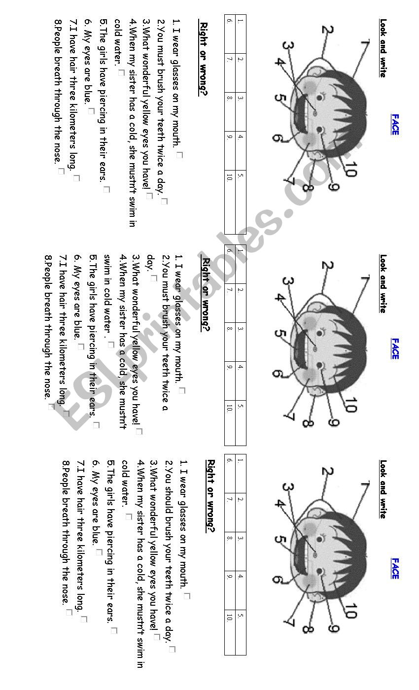 Face vocabulary worksheet